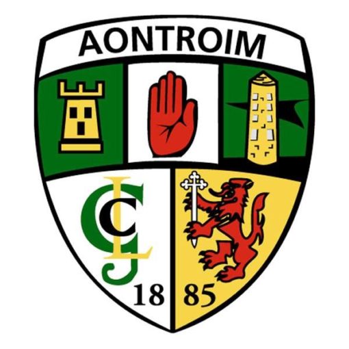 Antrim GAA Flag 18"x24" with stick - Image 2