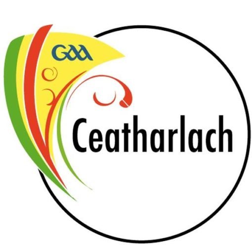 Carlow GAA Flag 12"x18" with stick - Image 2
