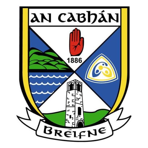 Cavan GAA Flag 12"x18" with stick - Image 2