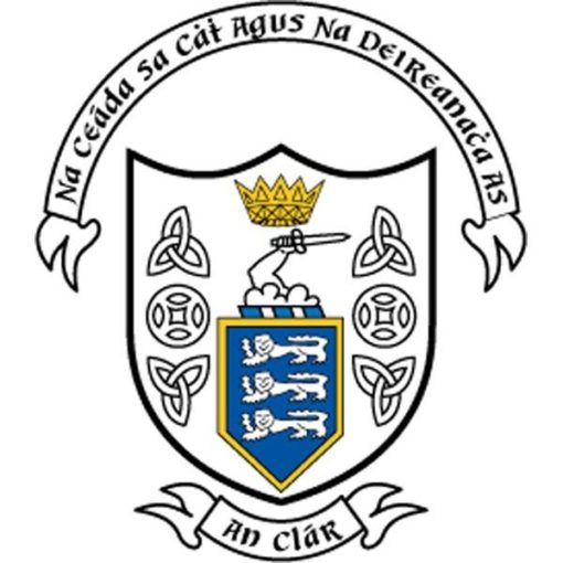 Clare GAA Car Flag (MAP) - Image 2