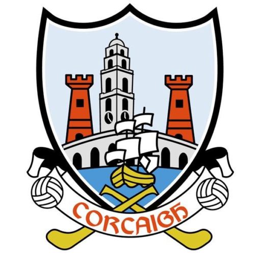 Cork GAA Flag 12"x18" with stick - Image 2