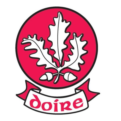 Derry GAA Flag 12"x18" with stick - Image 2