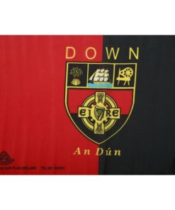 Down GAA Flag 12"x18" with stick