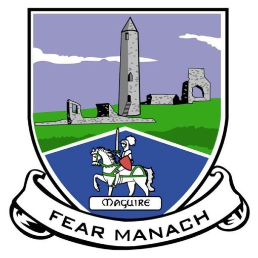Fermanagh GAA Flag 12"x18" with stick - Image 2