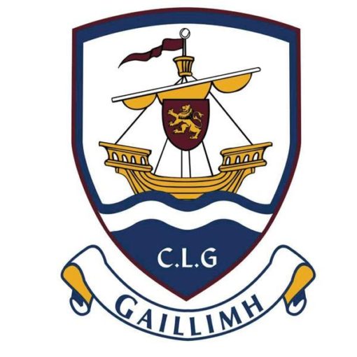 Galway GAA Car Flag (Map) - Image 2
