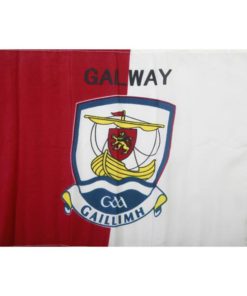 Galway GAA Flag 18"x24" with stick