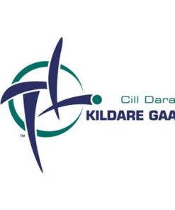 Kildare GAA Flag 3ft x 2ft with stick