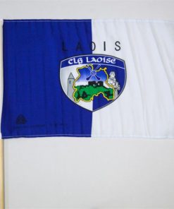 Laois GAA Flag 12"x18" with stick