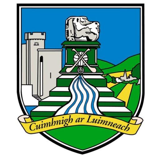 Limerick GAA Flag 5ft x 3ft - Image 2