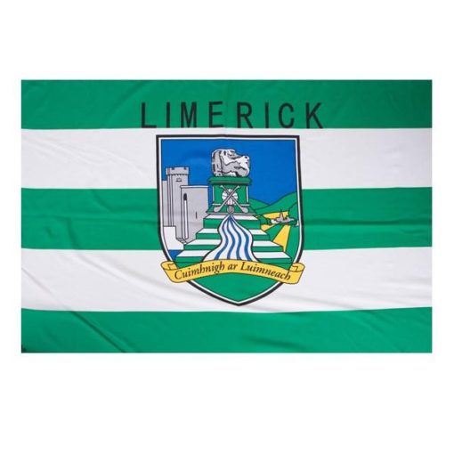 Limerick GAA Flag 3ft x 2ft with stick - Image 4