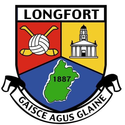 Longford GAA Flag 12"x18" with stick - Image 2
