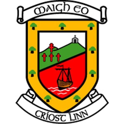 Mayo GAA Flag 3ft x 2ft with stick - Image 2
