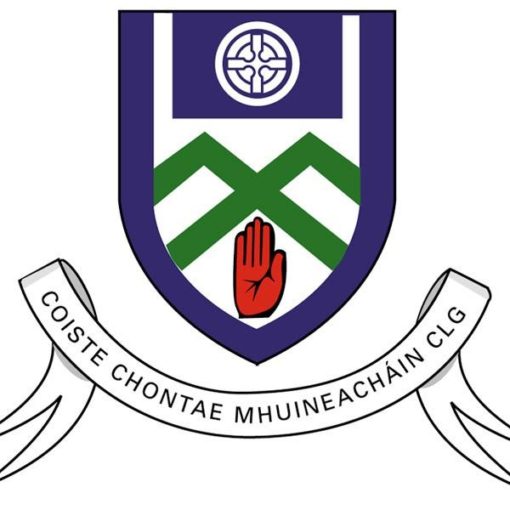 Monaghan GAA Flag 18"x24" with stick - Image 2