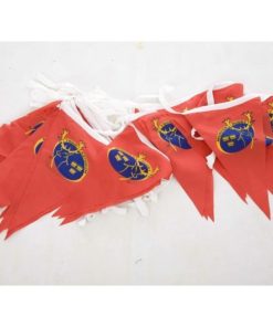 Munster Rugby 25m Bunting
