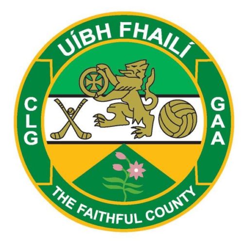 Offaly GAA Flag 5ft x 3ft - Image 2