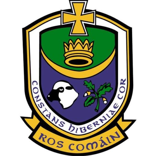 Roscommon GAA Flag (Stars) 5ft x 3ft - Image 2