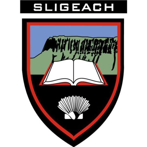 Sligo GAA Flag 3ft x 2ft with stick - Image 2
