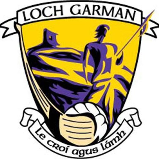 Wexford GAA Flag 3ft x 2ft with stick - Image 2