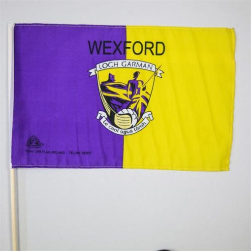 Wexford GAA Flag 3ft x 2ft with stick