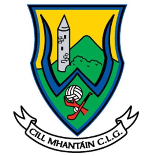 Wicklow GAA Car Flag - Image 2