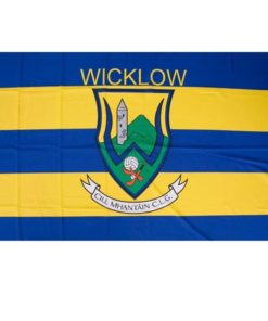 Wicklow GAA Flag 5ft x 3ft