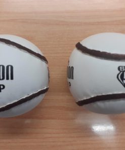 Dozen Champion Training Sliotars Size 5