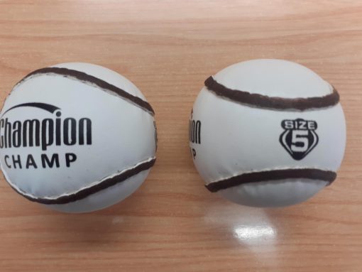 Dozen Champion Training Sliotars Size 5
