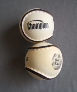 Champion Wall Ball (Size 5 - Dozen)