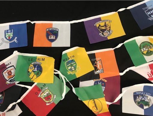 32 County Bunting