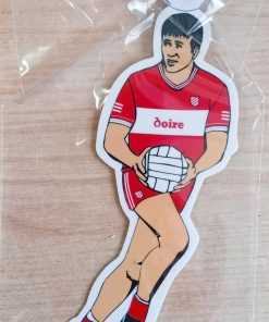 DERRY WINDOW HANGER