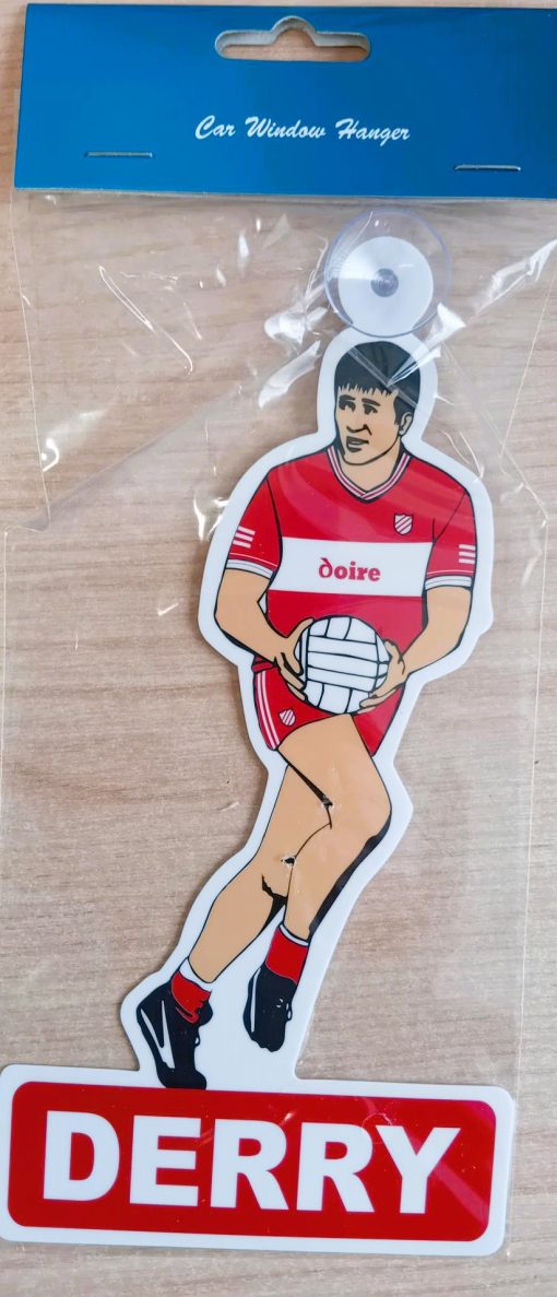 DERRY WINDOW HANGER