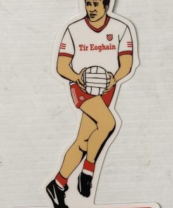 TYRONE FOOTBALL WINDOW HANGER